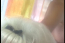 'Cashmere' screenshot nº 46