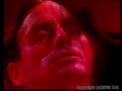 Captura de 'Asia Carrera Exposed' nº 67