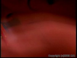 Captura de 'Asia Carrera Exposed' nº 106