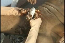 'Handjobs 3' screenshot nº 88