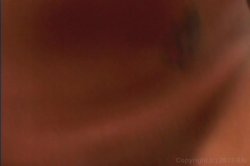'Asian Anal Sluts' screenshot nº 49