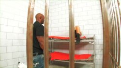 Captura de 'Jail Birds' nº 4