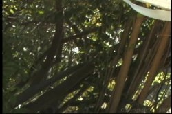 'Handjobs 2' screenshot nº 129