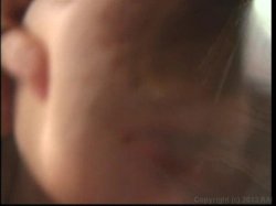 Captura de 'Lactamania 15' nº 100