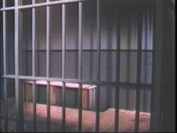 'Girls Gone Bad 3: Back in the Slammer' screenshot nº 8