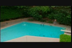 Captura de 'Puritan Video Magazine 17' nº 4