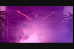 Captura de 'Puritan Video Magazine 17' nº 41