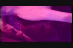 Captura de 'Puritan Video Magazine 17' nº 47