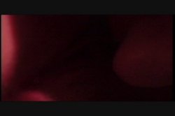 Captura de 'Puritan Video Magazine 17' nº 124