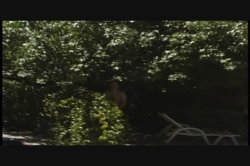 Captura de 'Latin P.O.V.' nº 62