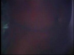 'In the Mind of Madness' screenshot nº 19