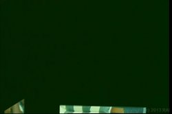 Captura de 'Chest Full of Asians 2' nº 124