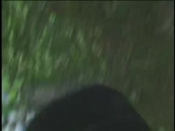 'Raw Uncensored 3' screenshot nº 16