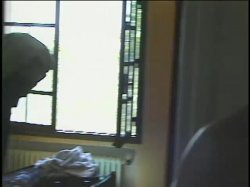 'Raw Uncensored 3' screenshot nº 28