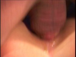 'Nut Busters 2' screenshot nº 82