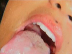 'Nut Busters 2' screenshot nº 12