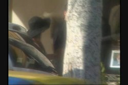 Captura de 'Call Girls Undercover' nº 13