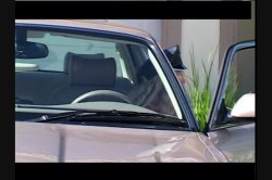Captura de 'Deep Cheeks 9' nº 2