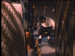 Captura de 'Hothouse Rose 2' nº 22