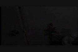 'Oinkin' and Boinkin'' screenshot nº 31