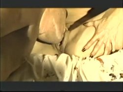 'Wild & Horny' screenshot nº 96