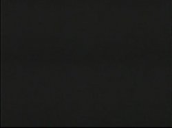 'Wild & Horny' screenshot nº 139