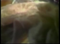 'The Very Best Of The Black Mystique 2' screenshot nº 32