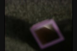 Captura de 'Butt Detective, The' nº 32