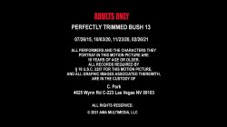 Captura de 'Perfectly Trimmed Bush 13' nº 1