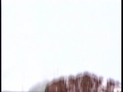 'No Bone Zone #11' screenshot nº 31