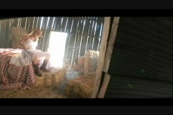 'Sunshine Highway' screenshot nº 88