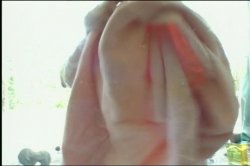 'White Girls Got Azz Too' screenshot nº 68