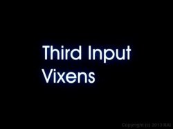 'Third Input Vixens' screenshot nº 1