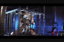 Captura de 'Shyla Stylez Superstar' nº 12