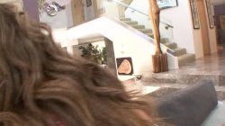 'Cream In My Ass 2' screenshot nº 137