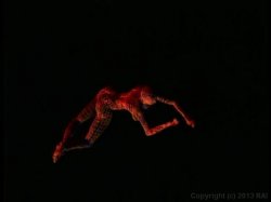 Captura de 'Titman's No Silicone Zone' nº 70
