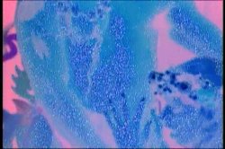 'Taboo 2001 - Sex Odyssey' screenshot nº 131