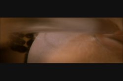 'Fuck V.I.P.: Orgasm (French)' screenshot nº 48