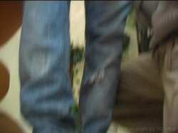 'My Sexy Kittens XXX #07' screenshot nº 80