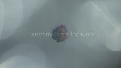 Captura de 'Harmony's Girl/Girl Superstars' nº 1