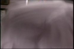 Captura de 'Point of Entry (Wicked Pictures)' nº 28
