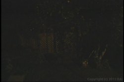 'On the Loose' screenshot nº 1