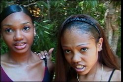 'Real Naturals 2' screenshot nº 3