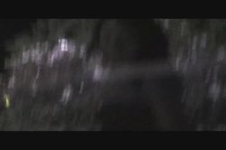 Captura de 'Black Street Hookers 54' nº 138
