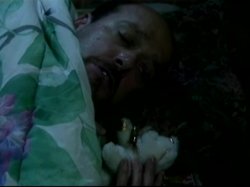 'Ginger's Island 2' screenshot nº 52
