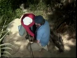 'Ginger's Island 2' screenshot nº 6