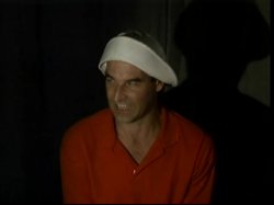 'Ginger's Island 2' screenshot nº 65