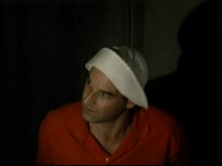 'Ginger's Island 2' screenshot nº 66