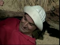 'Ginger's Island 2' screenshot nº 10
