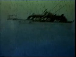 'Ginger's Island 2' screenshot nº 11